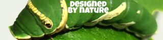 Namwuob - Designed by Nature