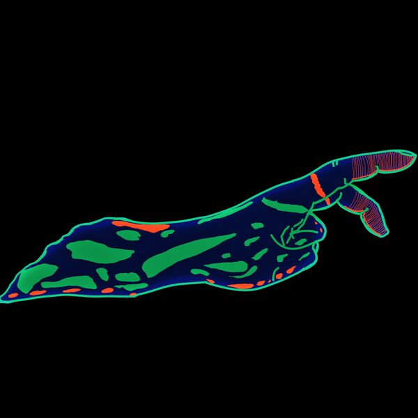 Nudi Hand Nembrotha kubaryana Thumbnail