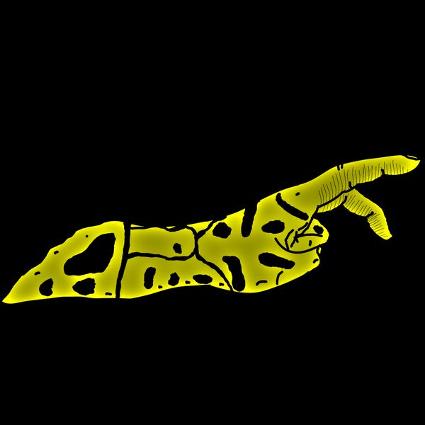 Nudi Hand Notodoris minor Thumbnail