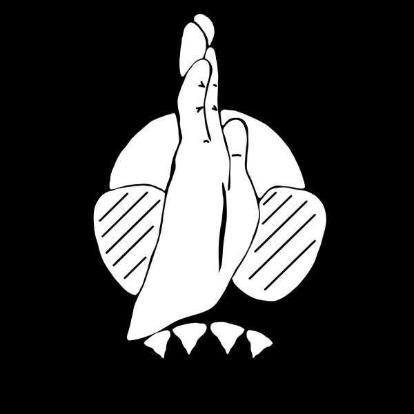 Shark hand white Thumbnail