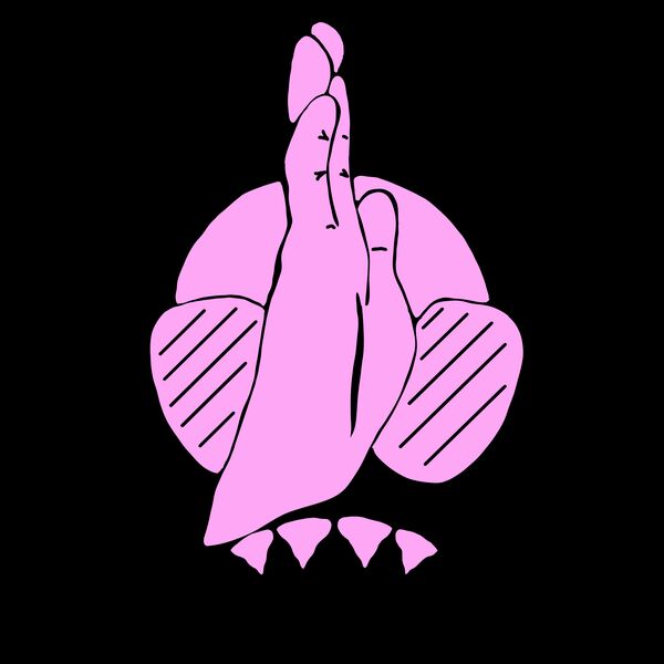 Shark hand pink Thumbnail