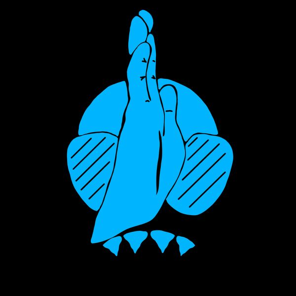 Shark hand blue Thumbnail