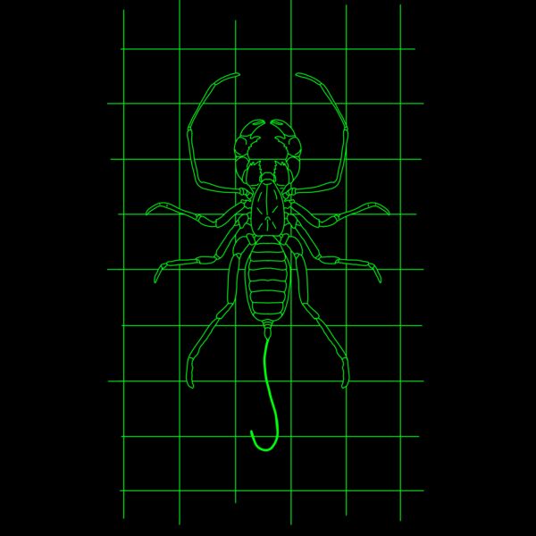 GRID DRAWING of a whip scorpion in green  Thumbnail