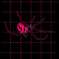 Pink Widow  Thumbnail