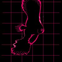 Pink spadefish Thumbnail