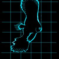 Blue spadefish  Thumbnail