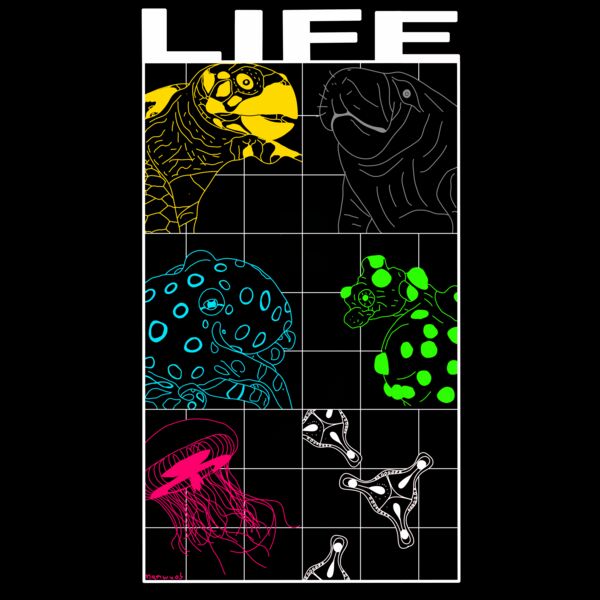 Life Thumbnail
