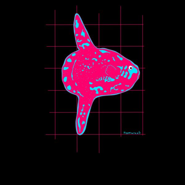 Pink Mola mola Thumbnail