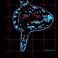 Blue Mola mola Thumbnail