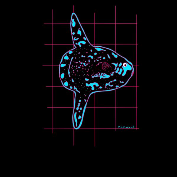 Blue Mola mola Thumbnail