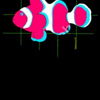 Clownfish  Thumbnail