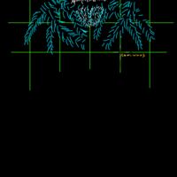 Jumping spider  Thumbnail