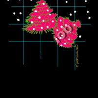 Christmas tree worm Thumbnail