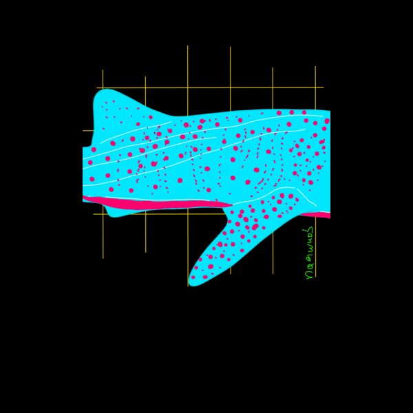 Whale shark  Thumbnail