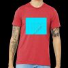 Unisex Triblend Tee (same day) Thumbnail